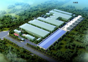 投資2億 安徽禹王生產基地擴建項目破土動工